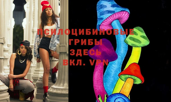 винт Богданович