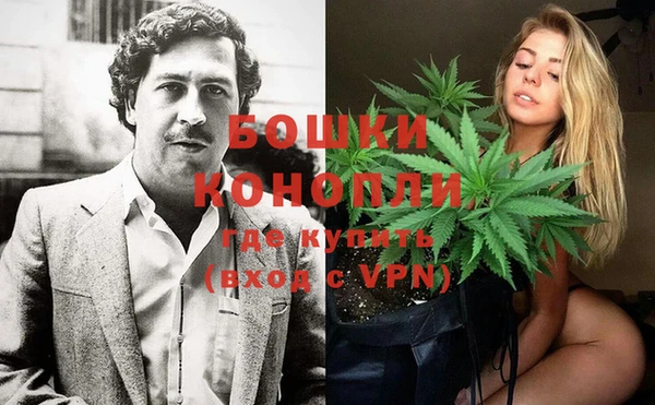 винт Богданович
