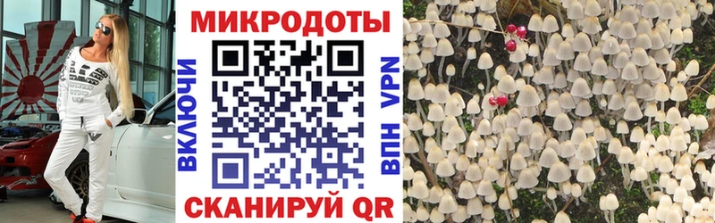 купить  сайты  даркнет состав  Псилоцибиновые грибы мухоморы  Светлый 
